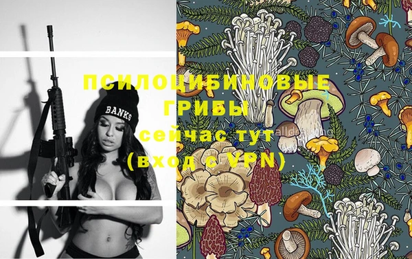 мет Елабуга